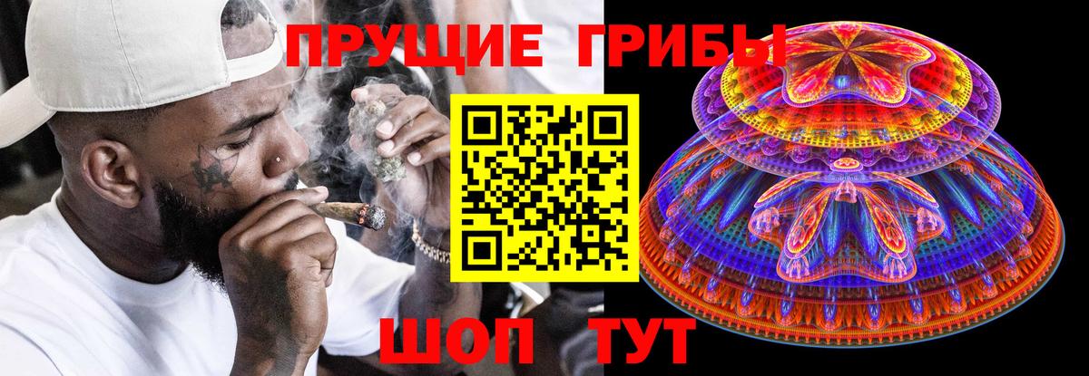 Галлюциногенные грибы Psilocybine cubensis Котельники