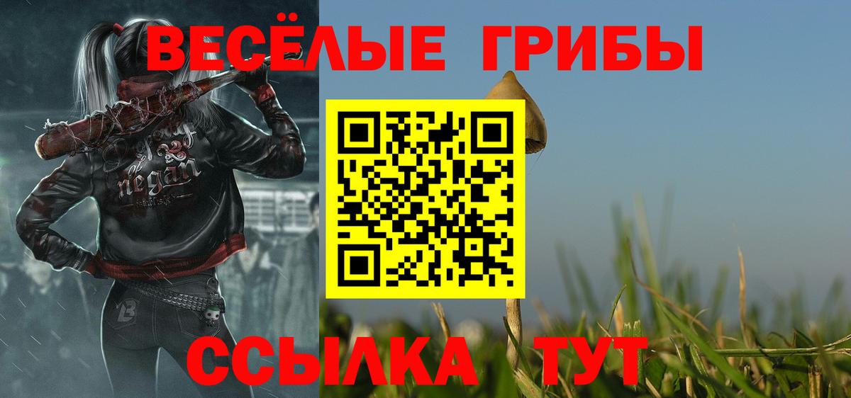 закладки  Вход с VPN  Котельники  Галлюциногенные грибы MAGIC MUSHROOMS 